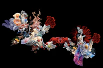 Flora and Zephyr