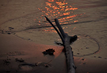 Drift   upon the cycle of life,  in radiance