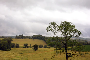 Upon The impressionist fields 
