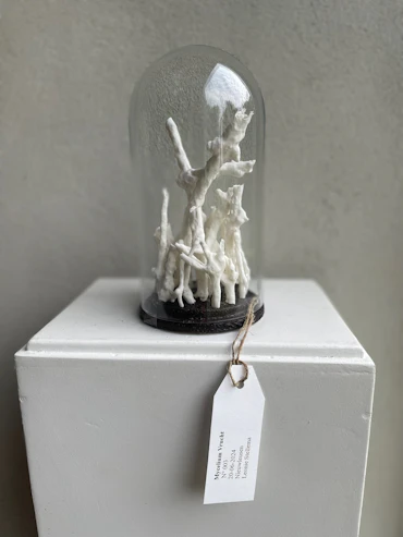 15 Myceliumfruit 3