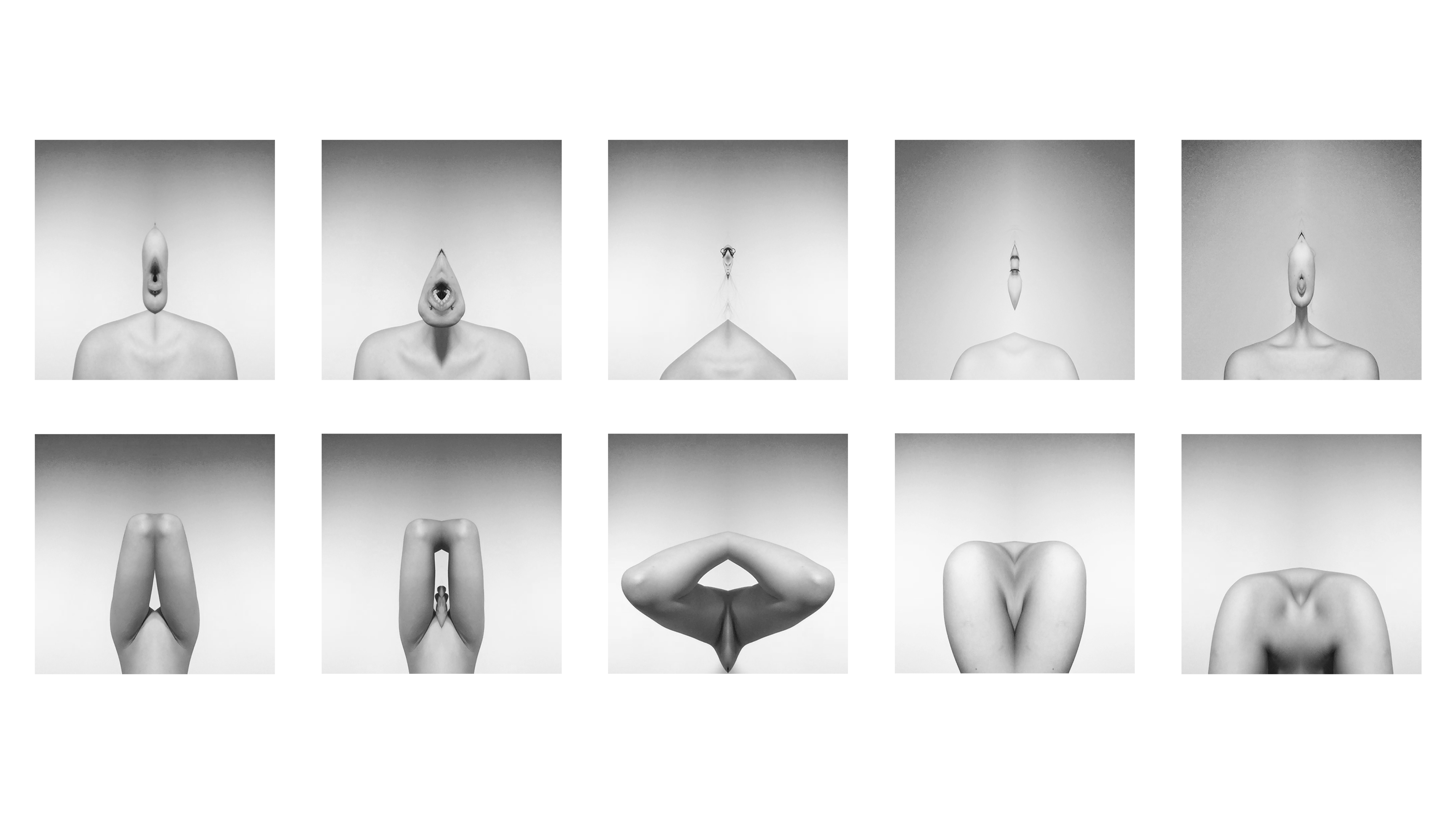 The Sensory Spectrum