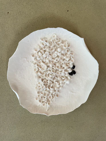 14 Tree cloud (oak)