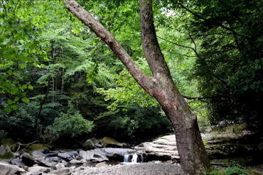 Emerald Falls, Serenity Within 