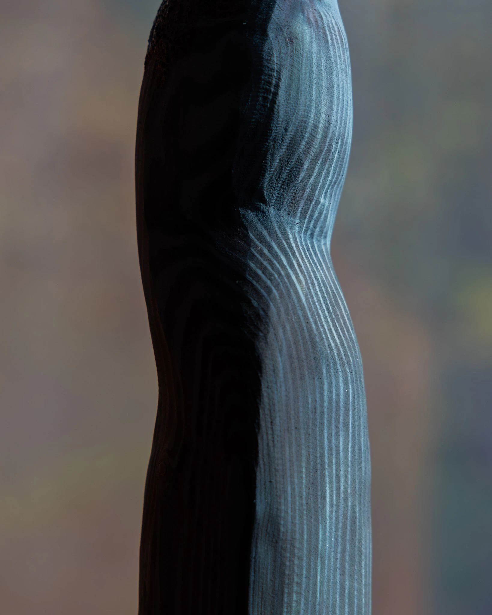Cendres vertes by Yanqing Pan...