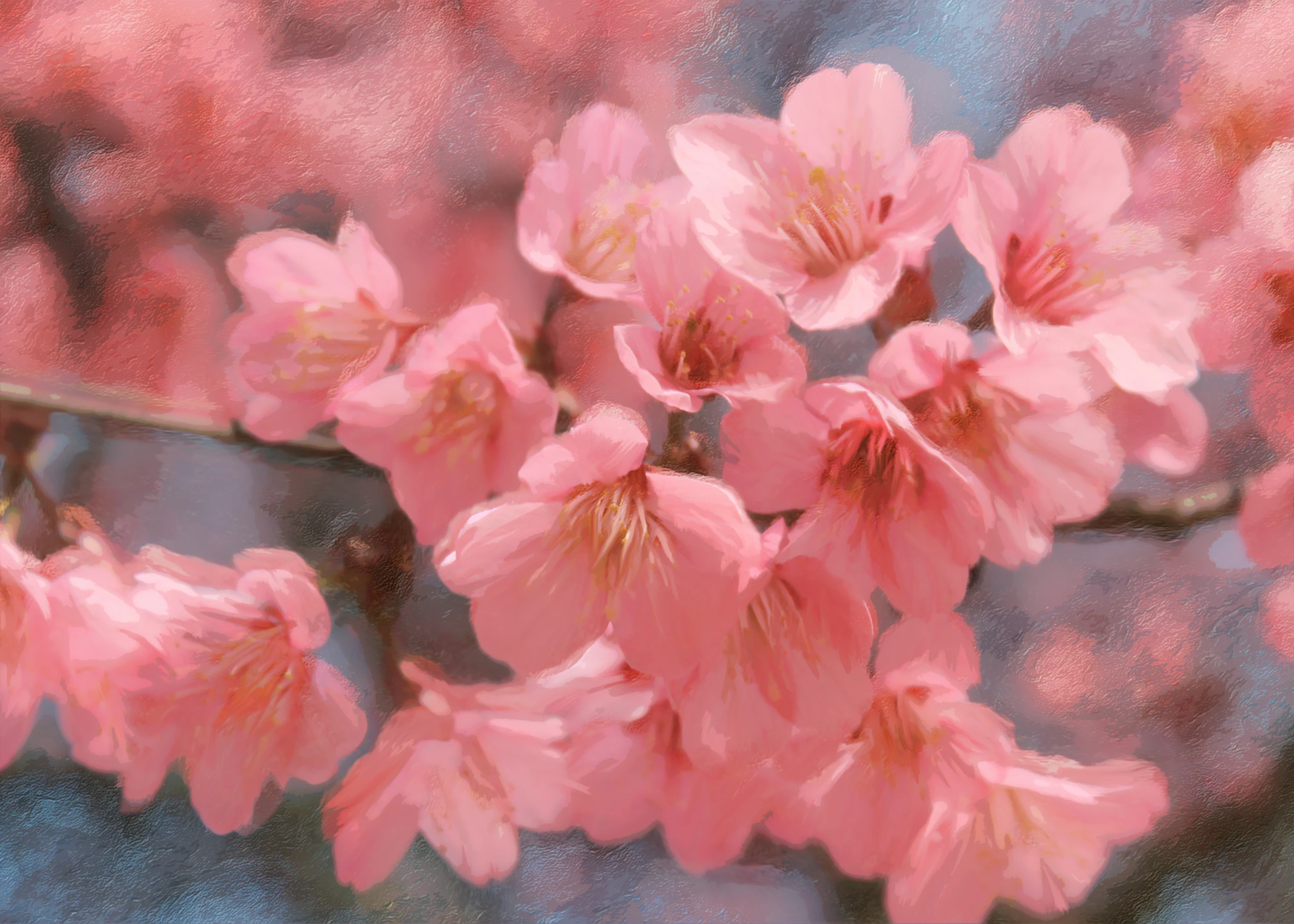 the florid: Sakura flower by Tasvir Desai...