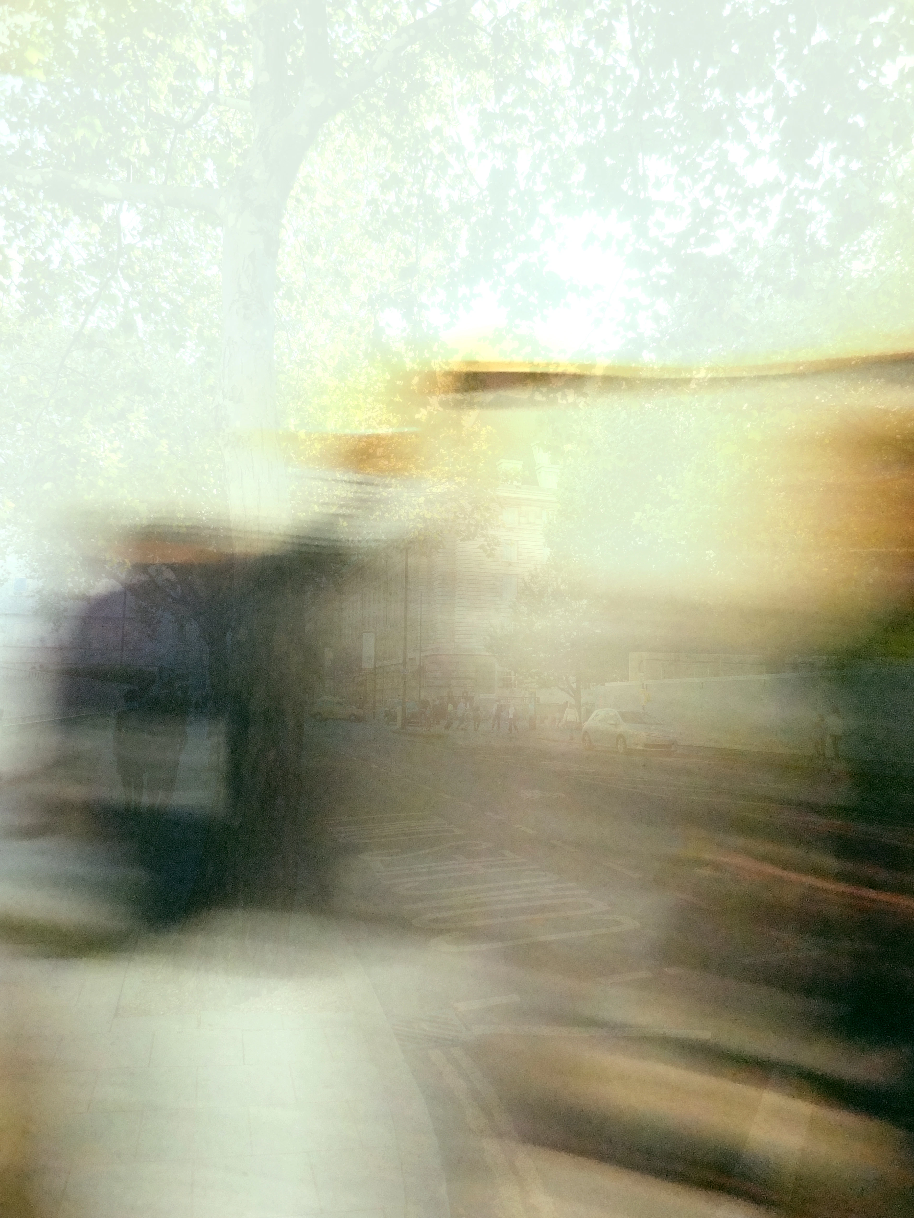 il35 / Sentimental action - {$M}