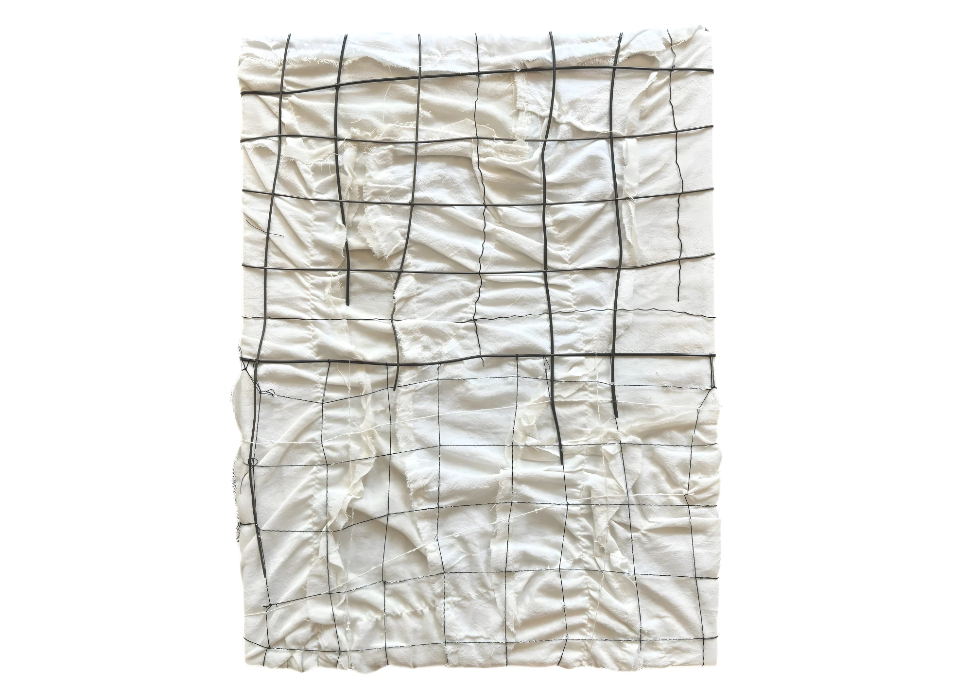 Safety Net 1