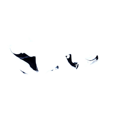Wonder (1)