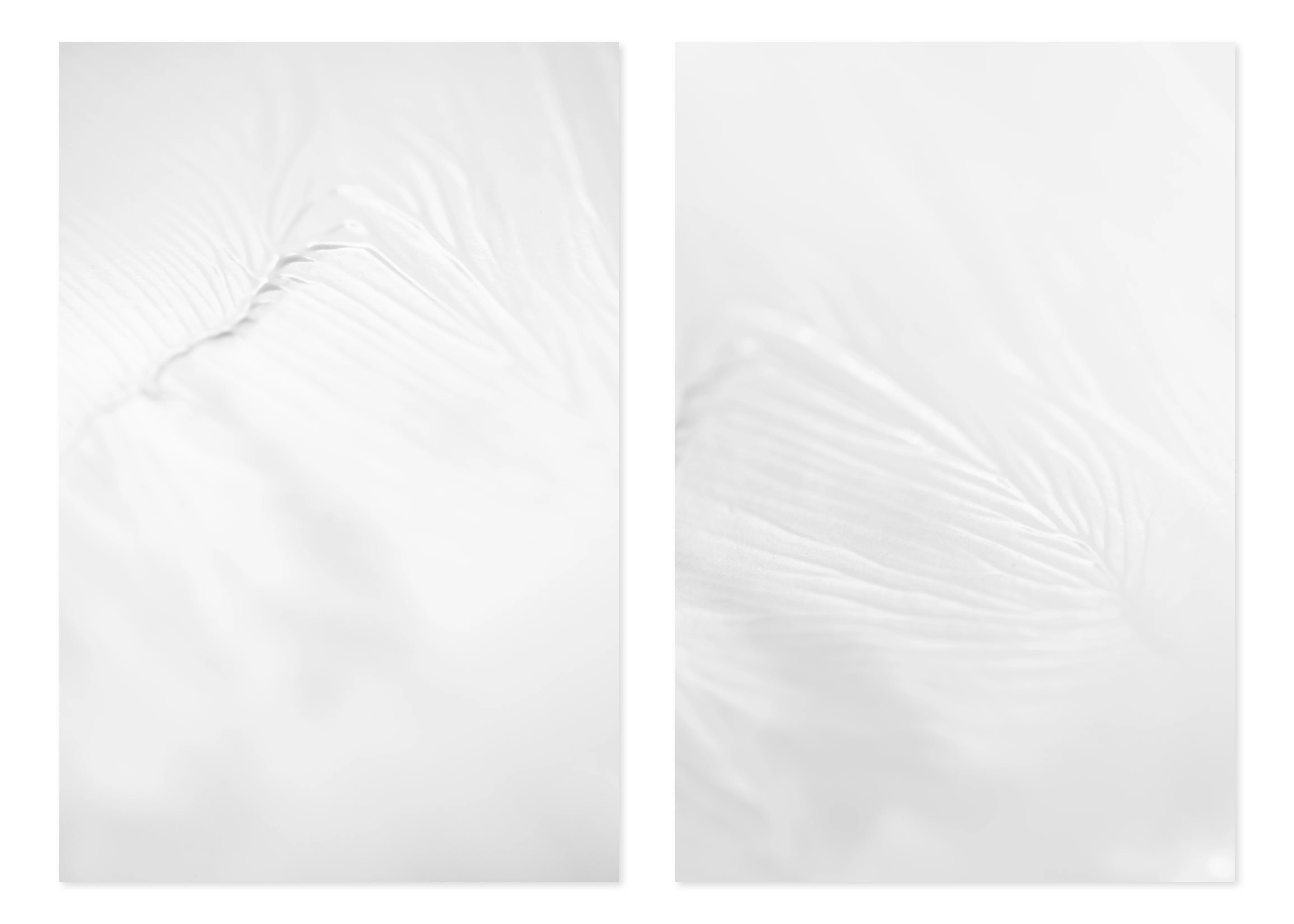 Traces in White — Three Diptychs, One Triptych by Hana...