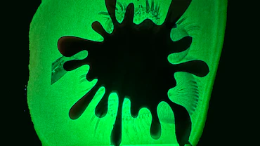 Série Microscópica.