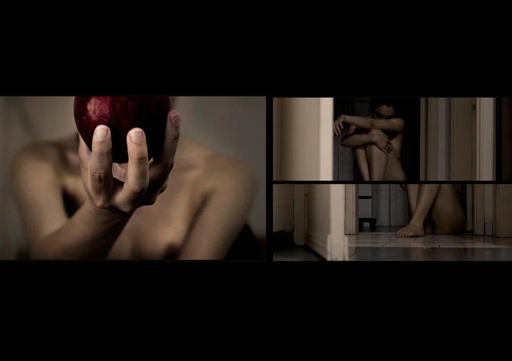 A DIARY WITH MEMORIES THAT I DO NOT HAVE by Luiza Prado...