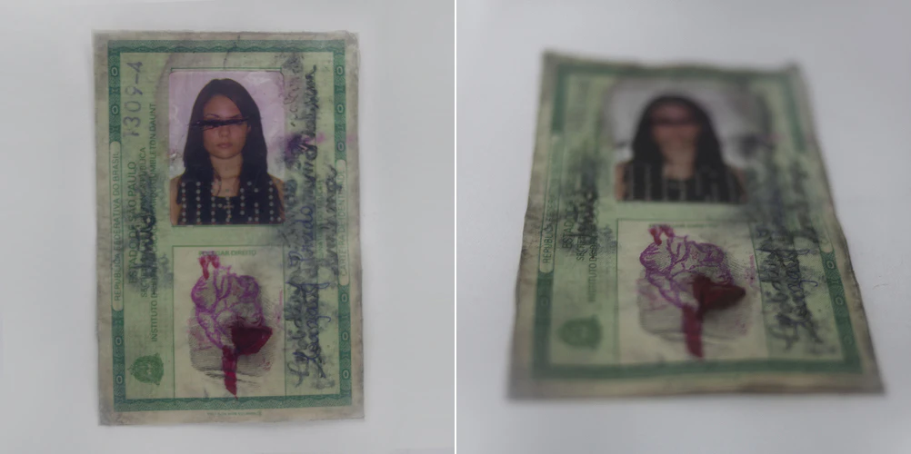 A DIARY WITH MEMORIES THAT I DO NOT HAVE by Luiza Prado...