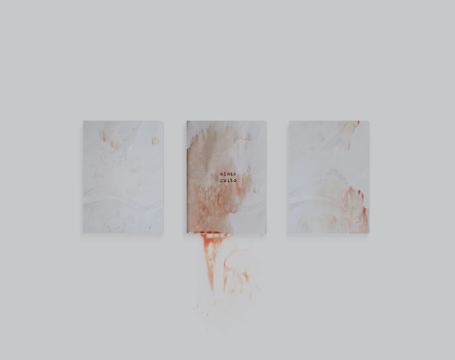 A DIARY WITH MEMORIES THAT I DO NOT HAVE by Luiza Prado...