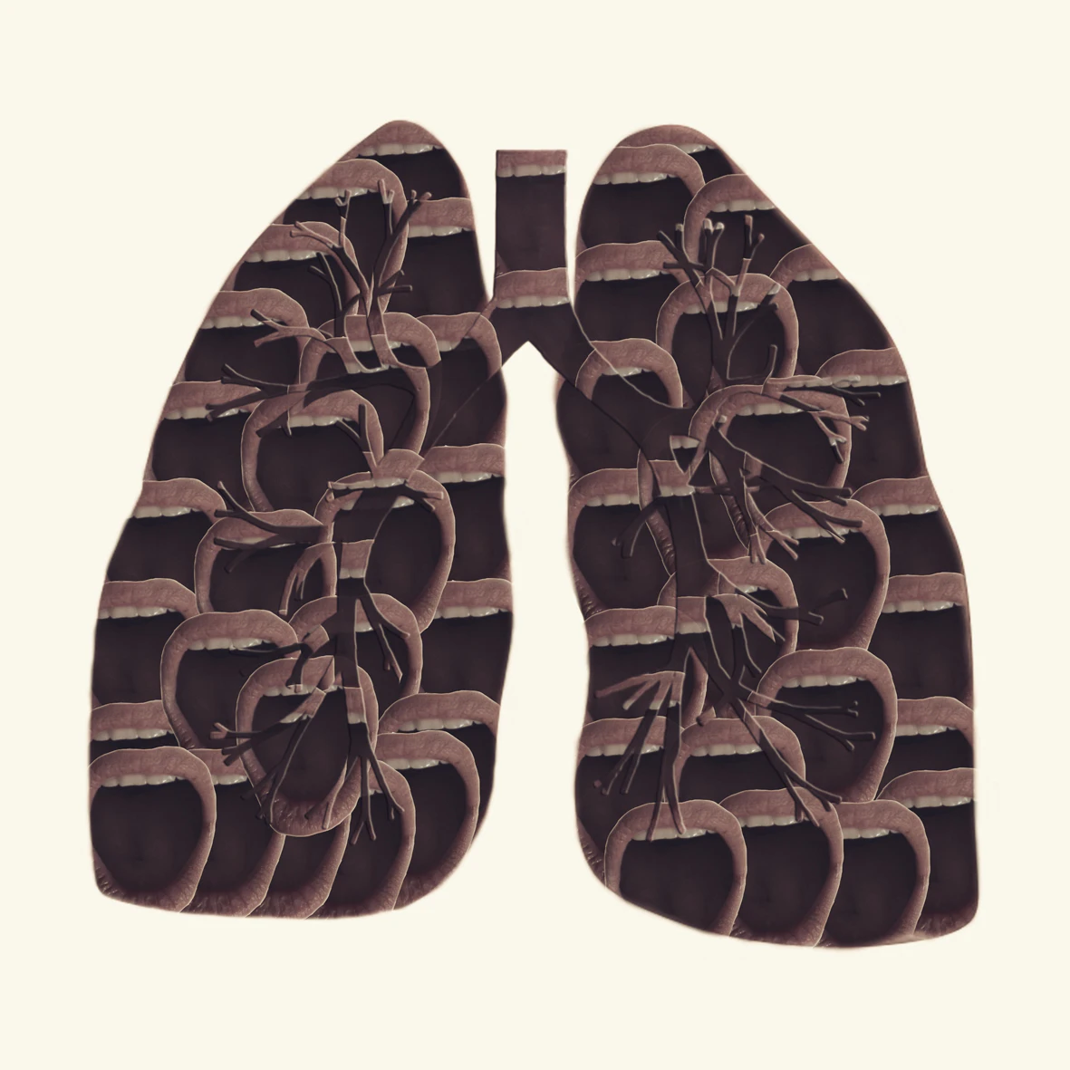Anatomy by Annique Delphine...