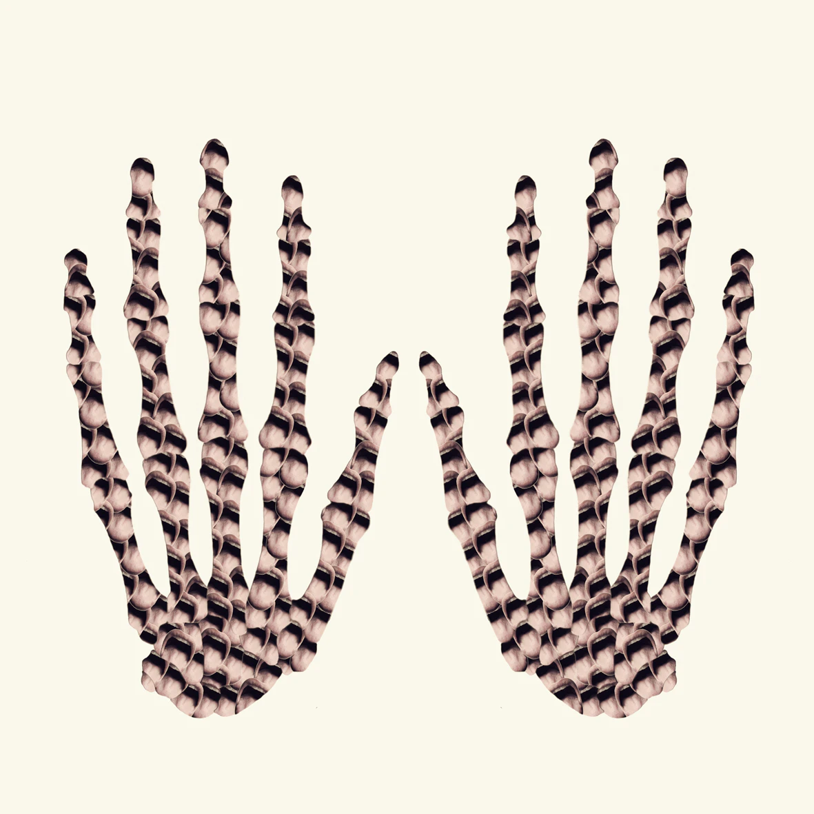 Anatomy by Annique Delphine...