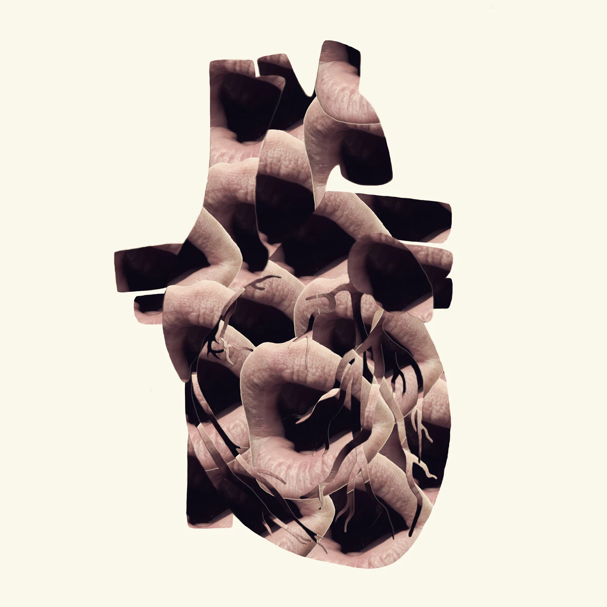 Anatomy by Annique Delphine...