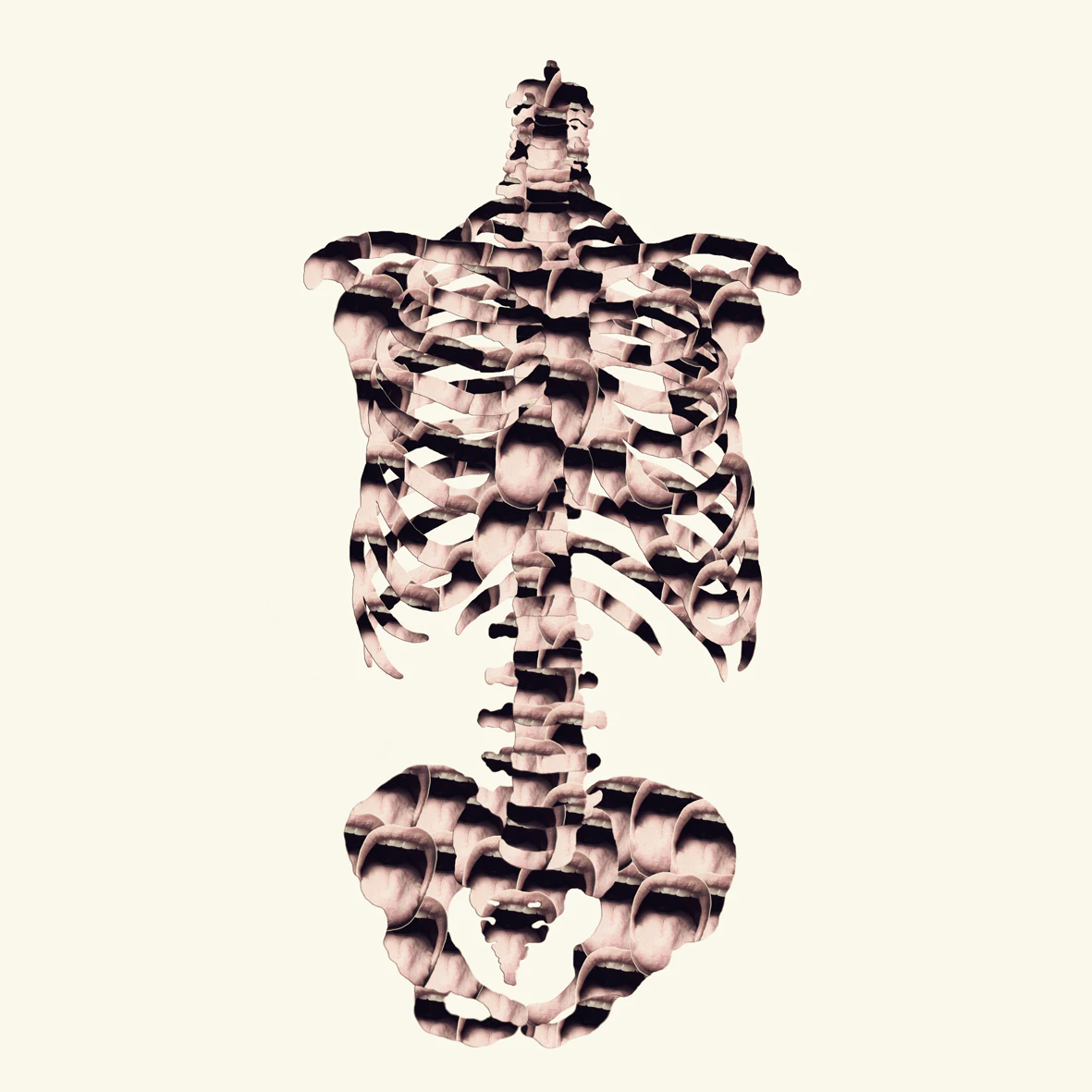 Anatomy by Annique Delphine...