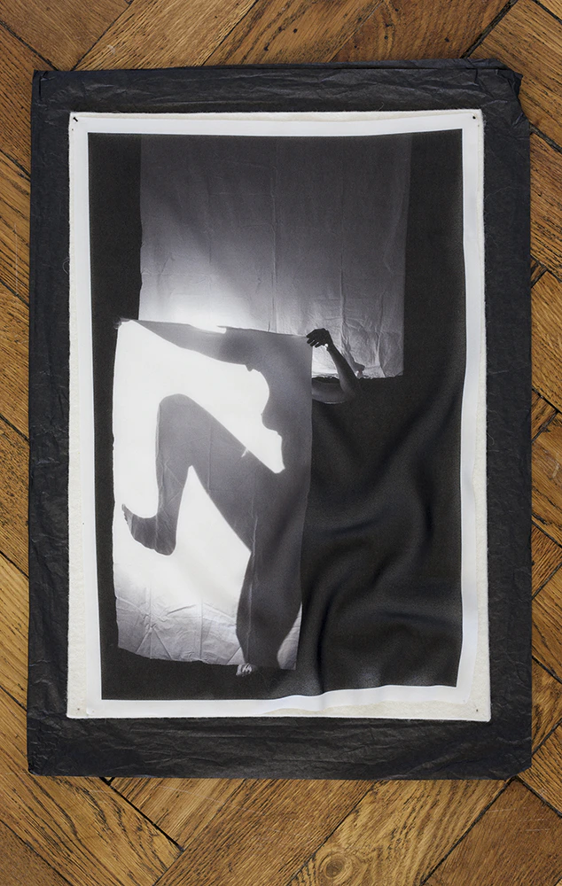 Shadow Puppetry by Diana Pacelli...
