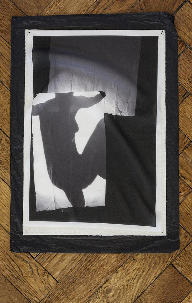 Shadow Puppetry by Diana Pacelli...