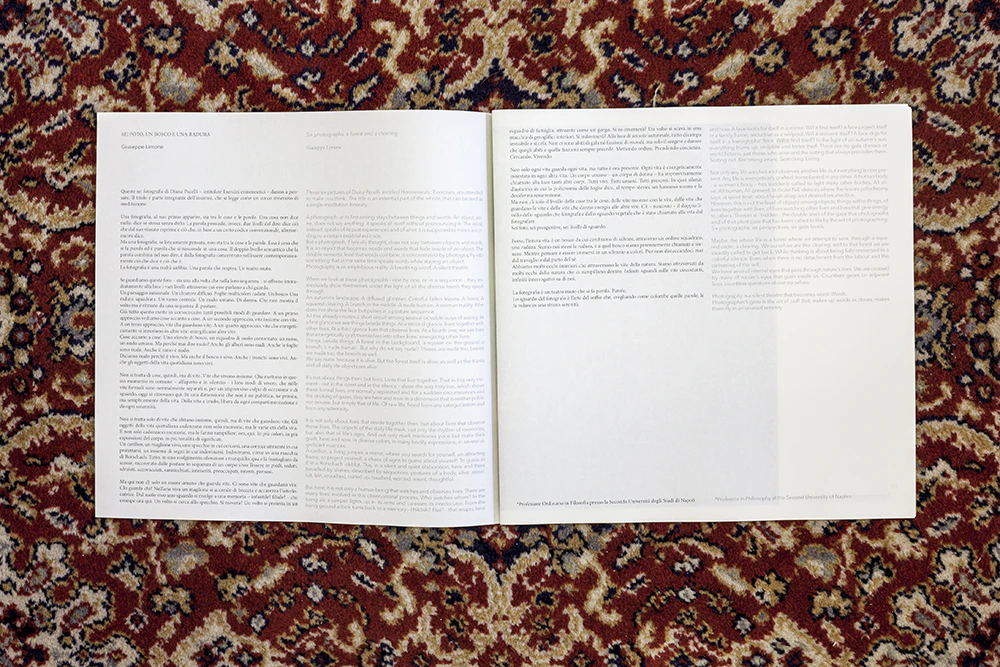Hermeneutic Exercises as self-portrait by Diana Pacelli...