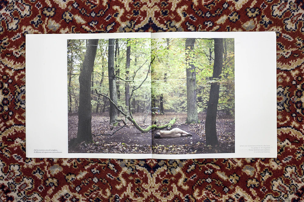 Hermeneutic Exercises as self-portrait by Diana Pacelli...