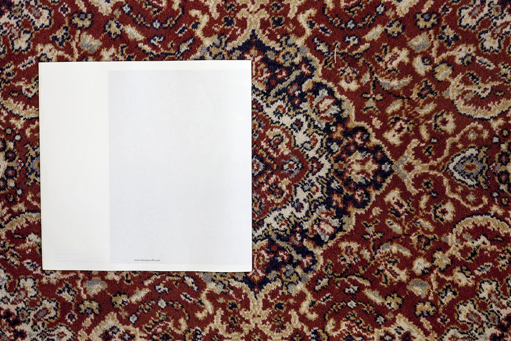 Hermeneutic Exercises as self-portrait by Diana Pacelli...