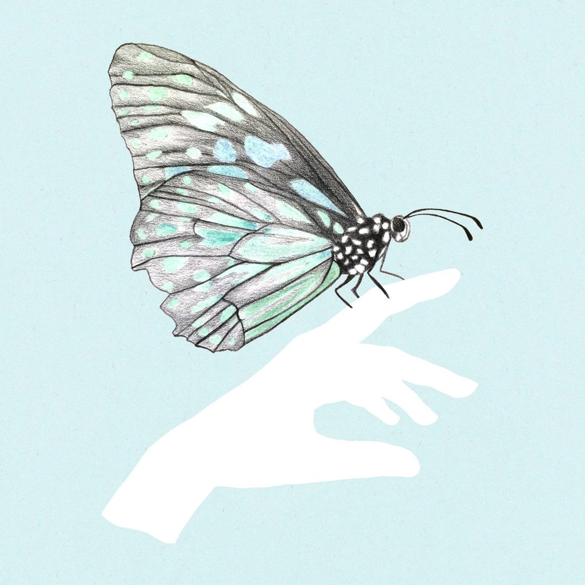 a friend in my hand - series by youdesignme...