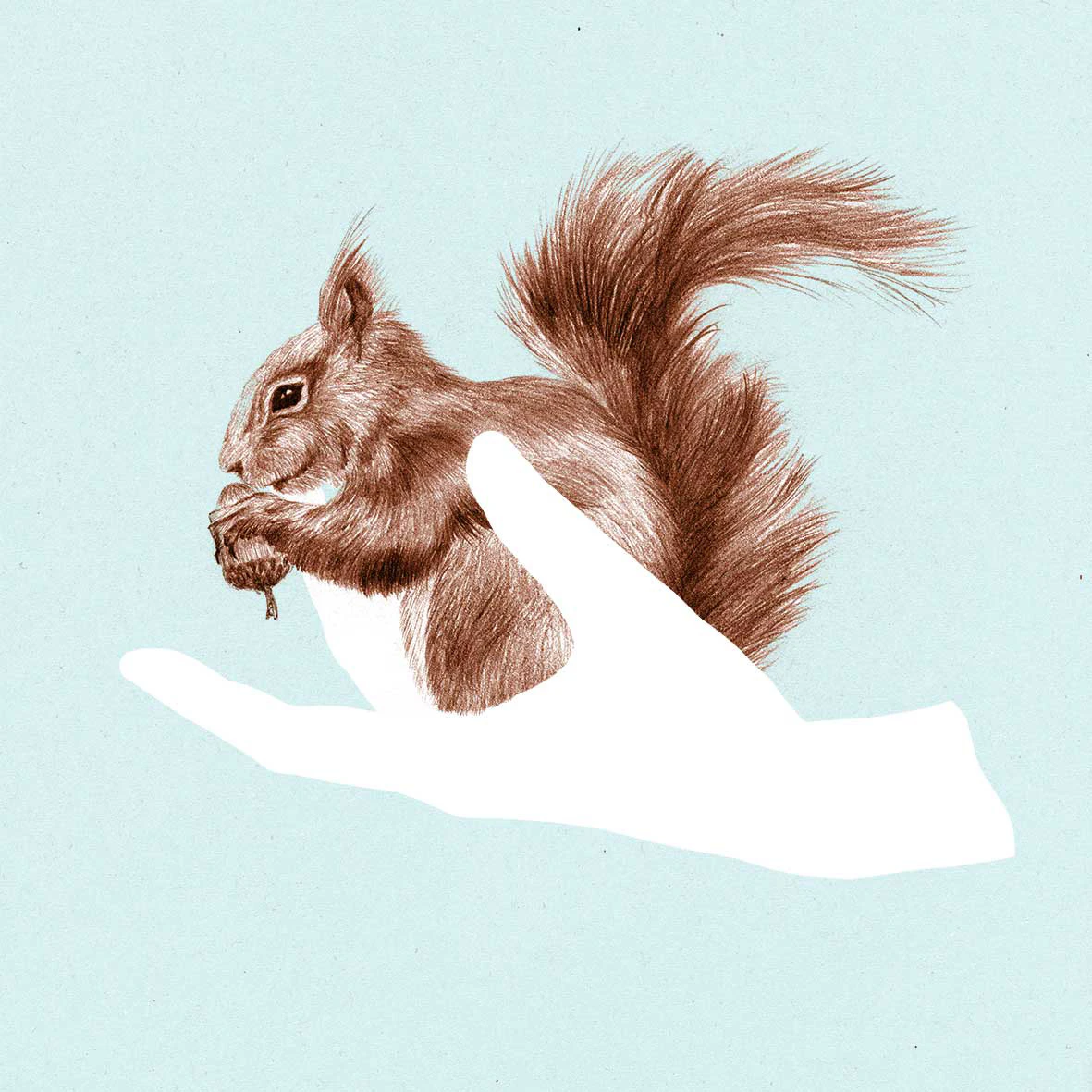 a friend in my hand - series by youdesignme...