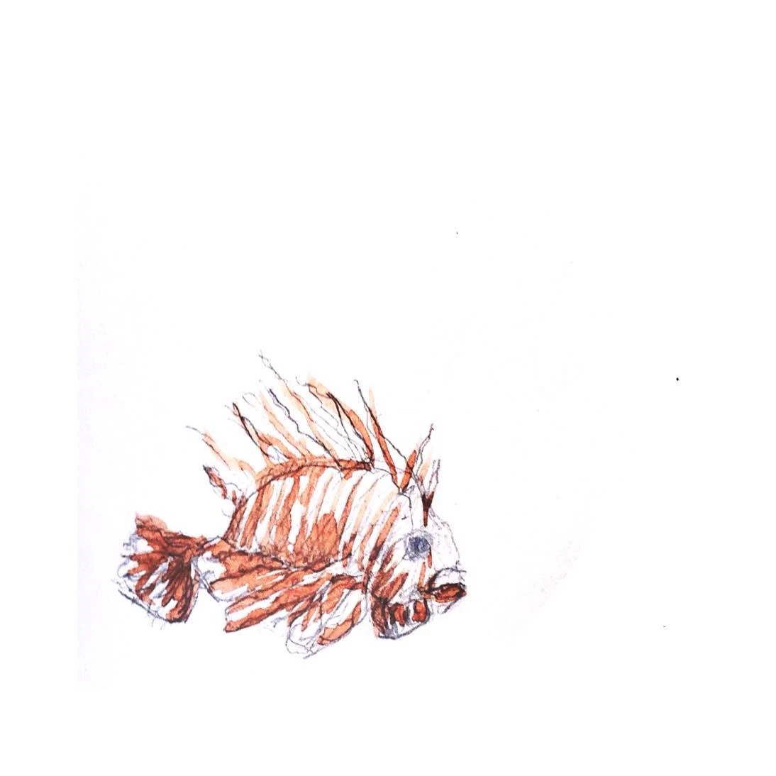 From Me to Love sketchbooks : Illustrations by Cagla Gulsah Kabaca...
