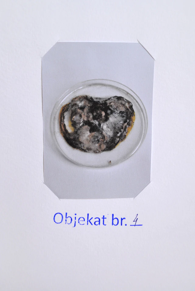 Current state // Artist's collection by Tijana Radenkovic...