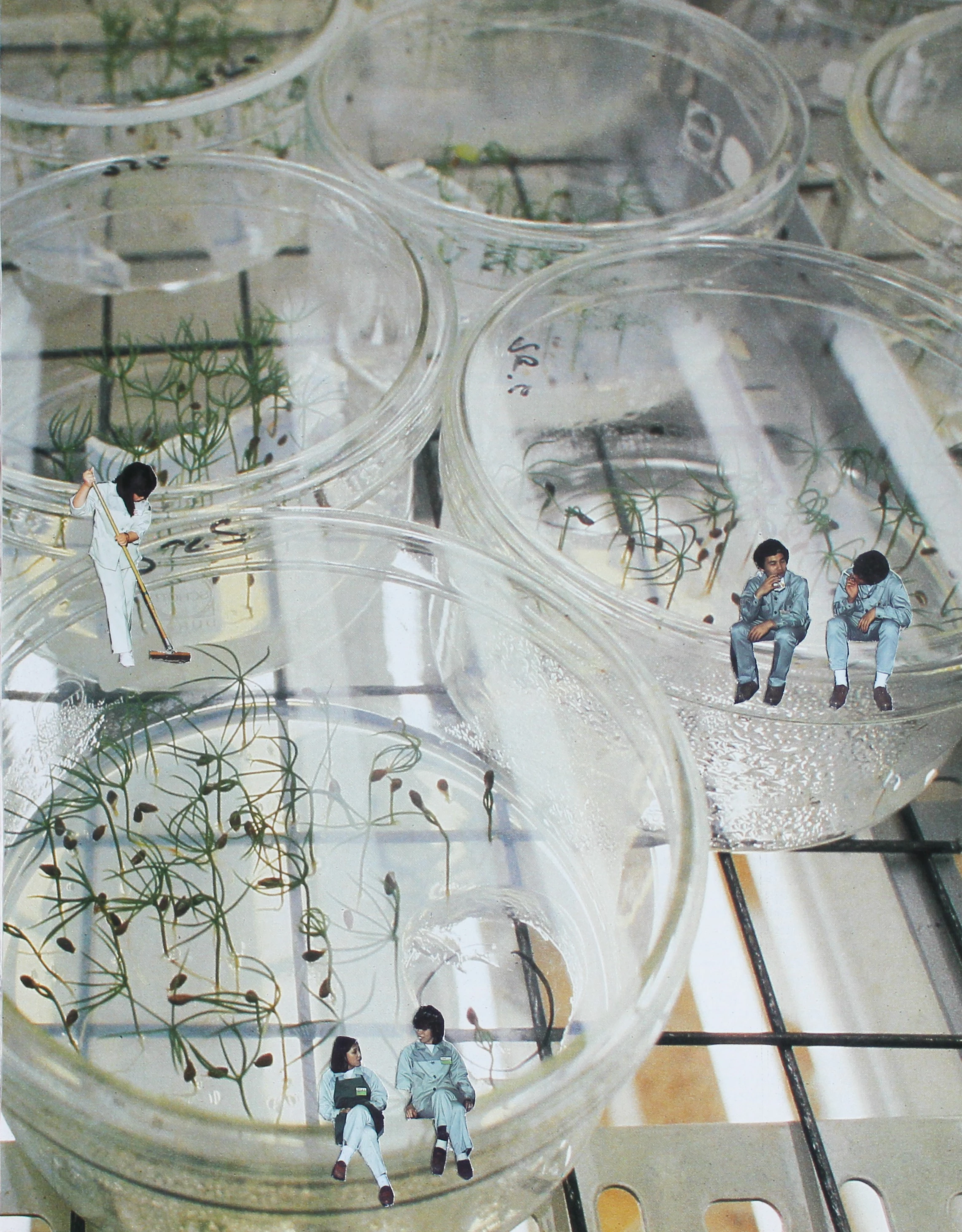 Collage by Mariana Laginha Mourato...