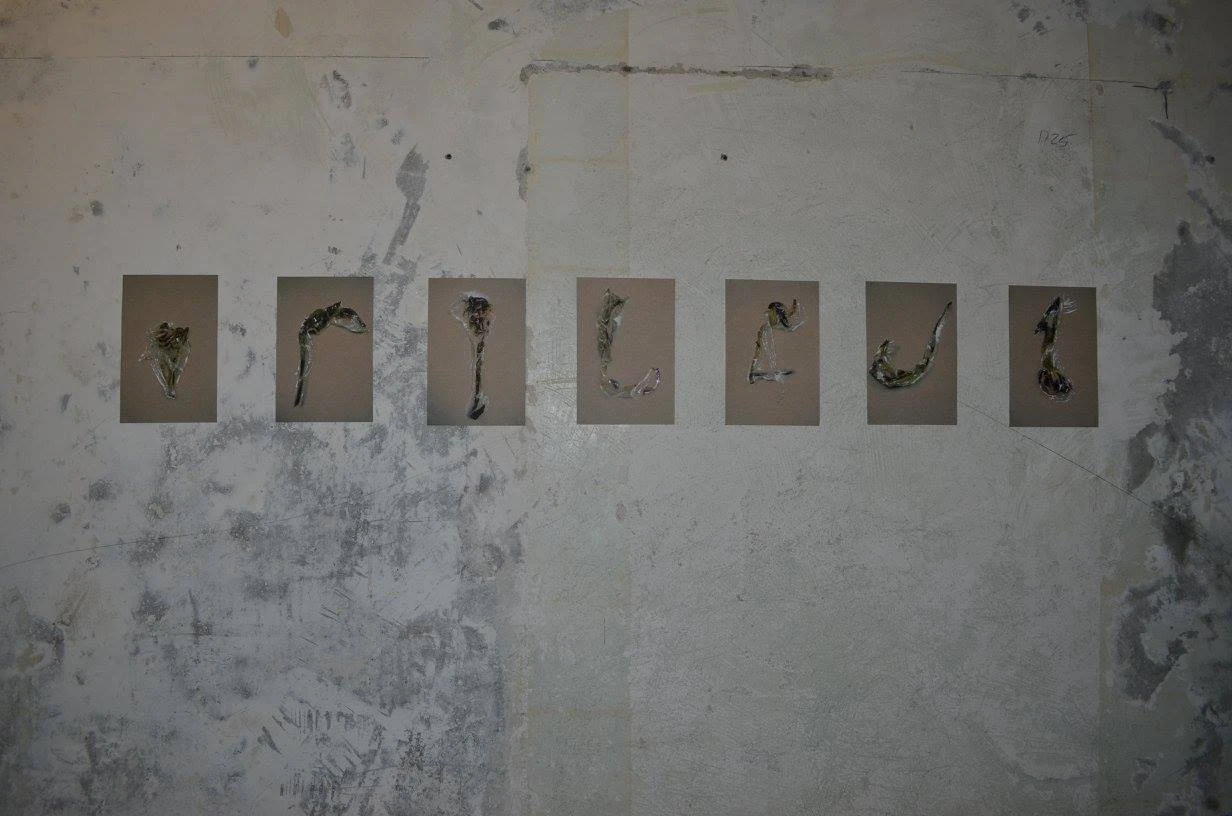 MEETING POINT - BERLIN (exhibition) by LEIZE  JENIUS...