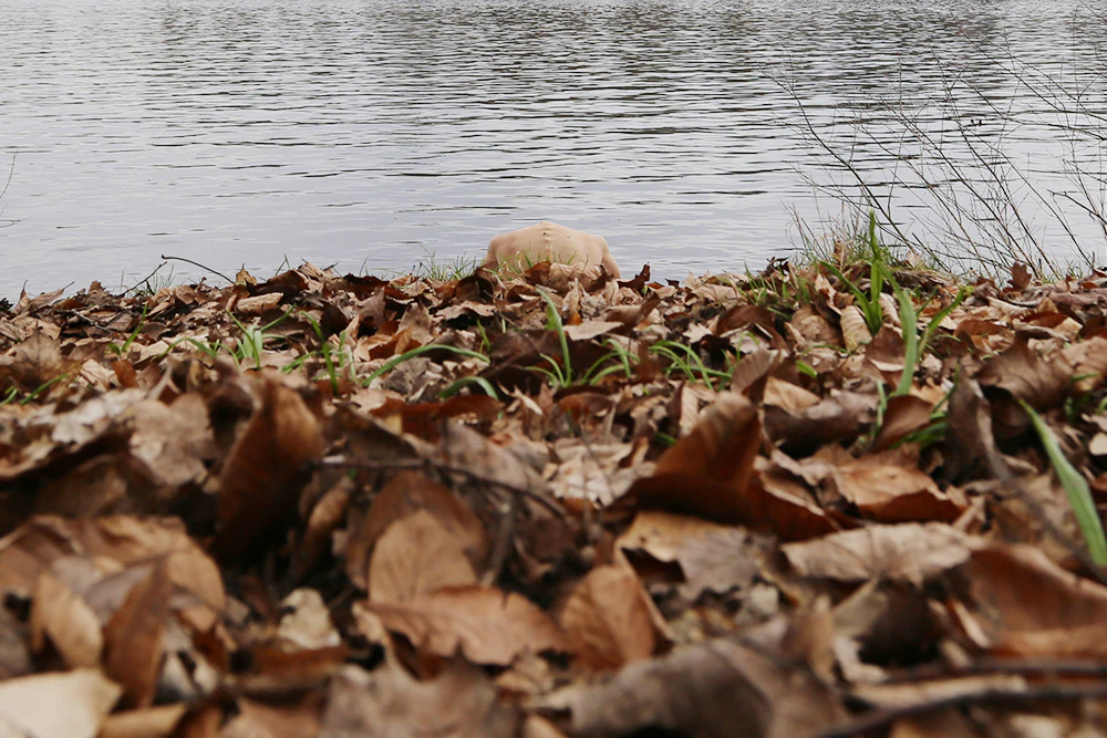 Portrait on Wannsee (Berlin) by Chiara Mazzocchi...