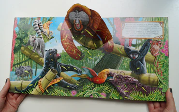 Pop up book - Susaeta Editorial