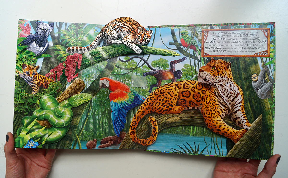 Pop up book - Susaeta Editorial by María Luján...