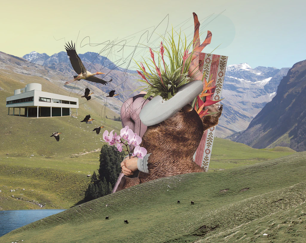 Illustrations by Lucas Faria...