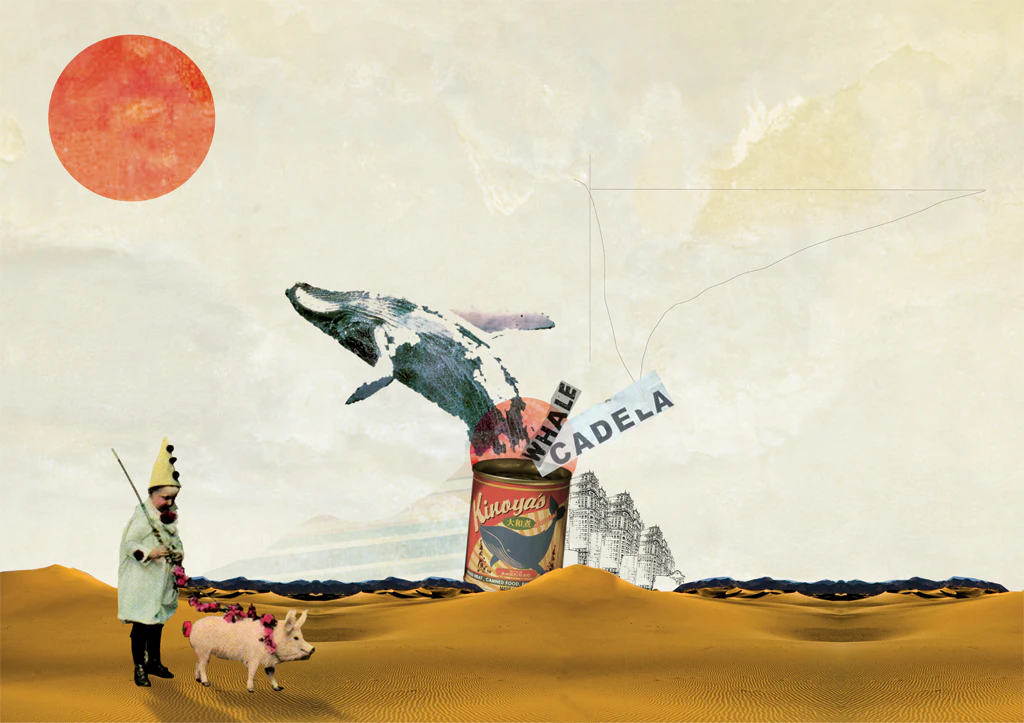 Illustrations by Lucas Faria...