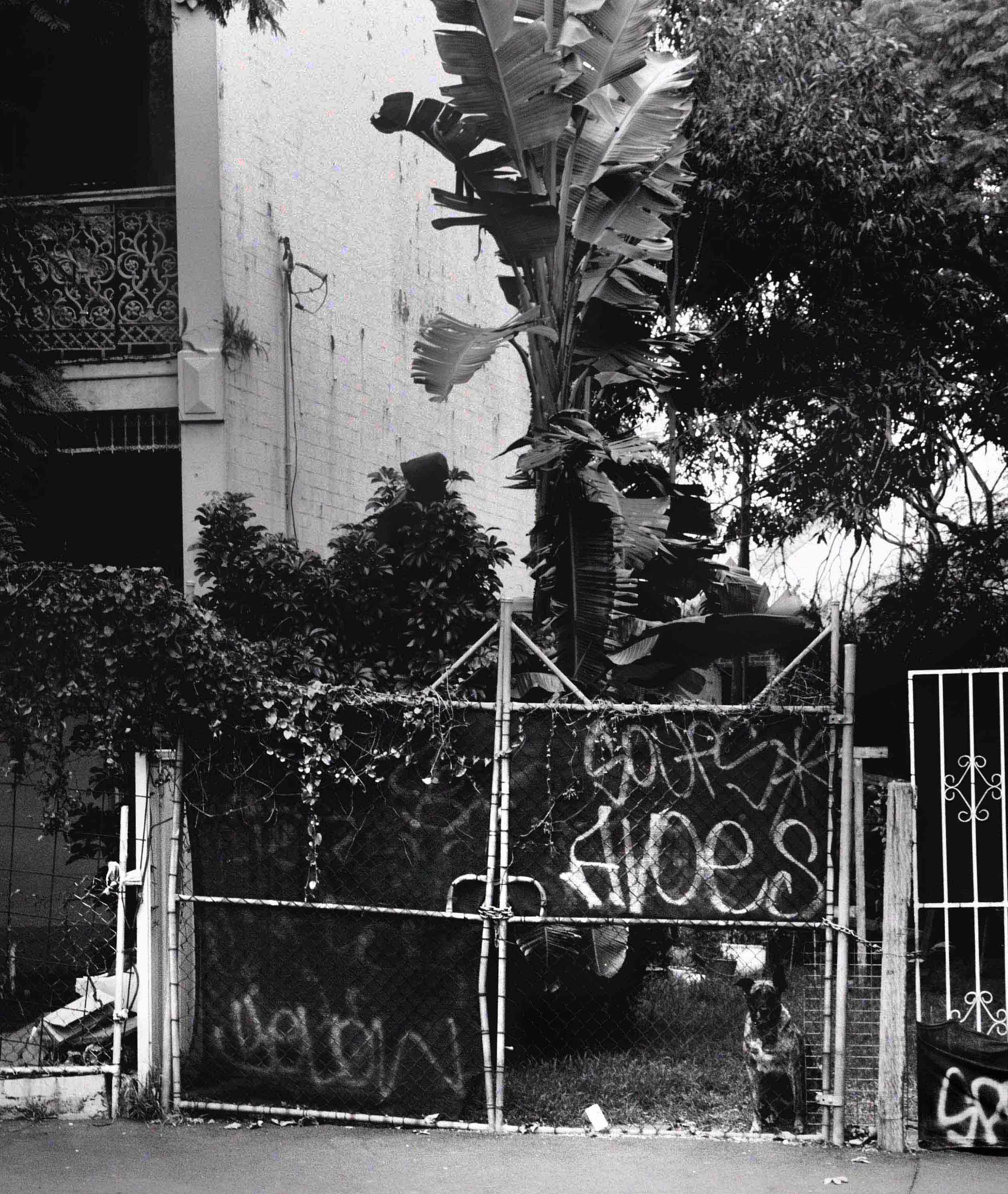 Urbanscapes by matteo antonio rapella...