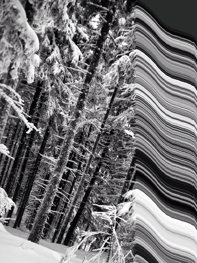 Scanned by ioana  bilea...