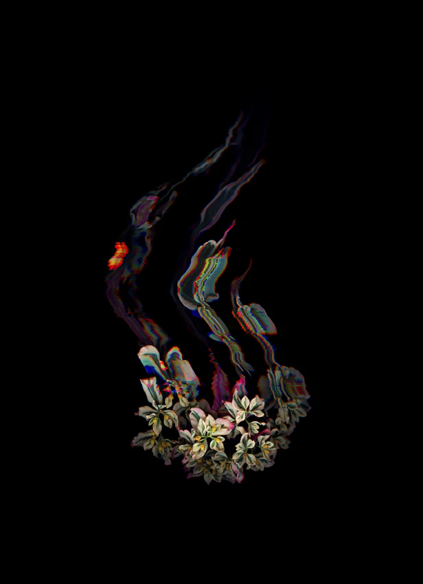 Binarium by Bryce Willem...