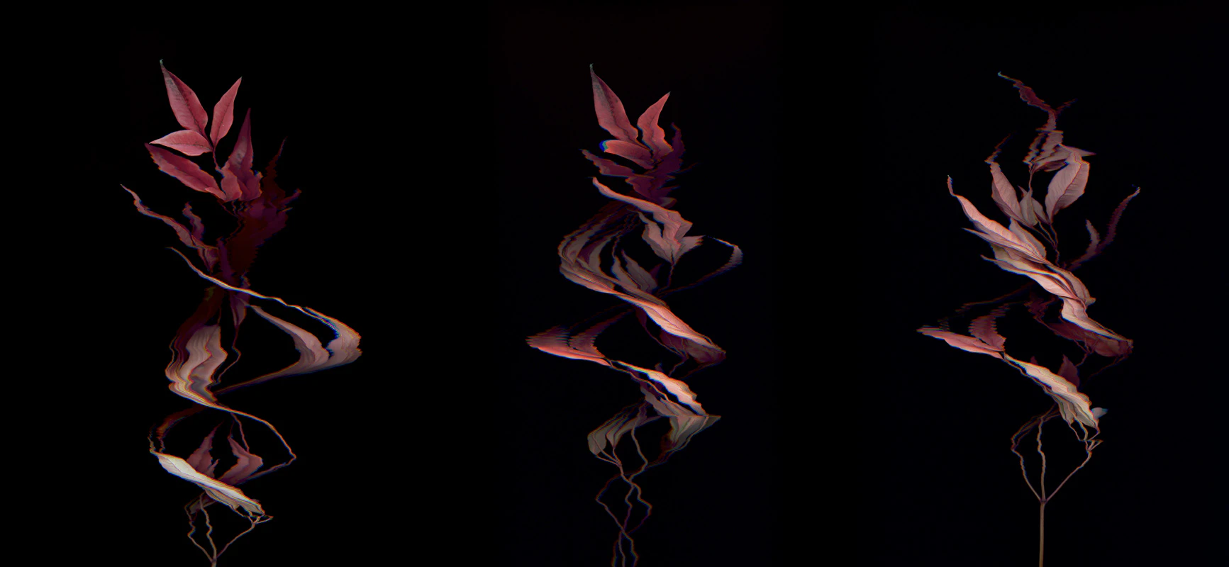 Binarium by Bryce Willem...