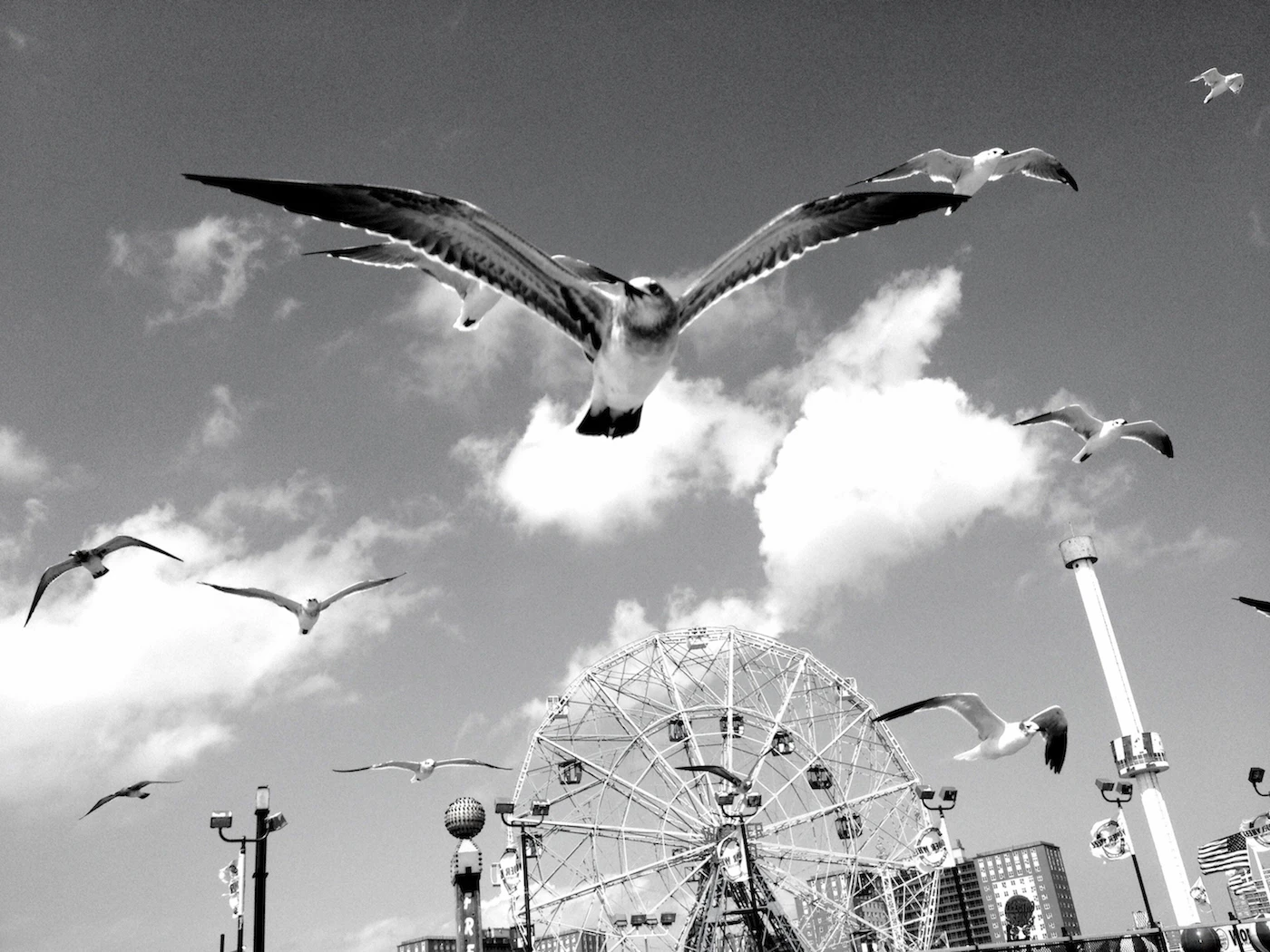 Coney Island by Erika Morillo...