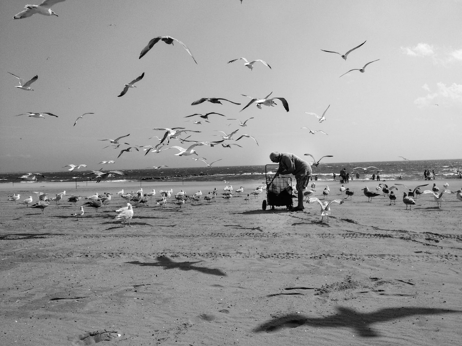 Coney Island by Erika Morillo...