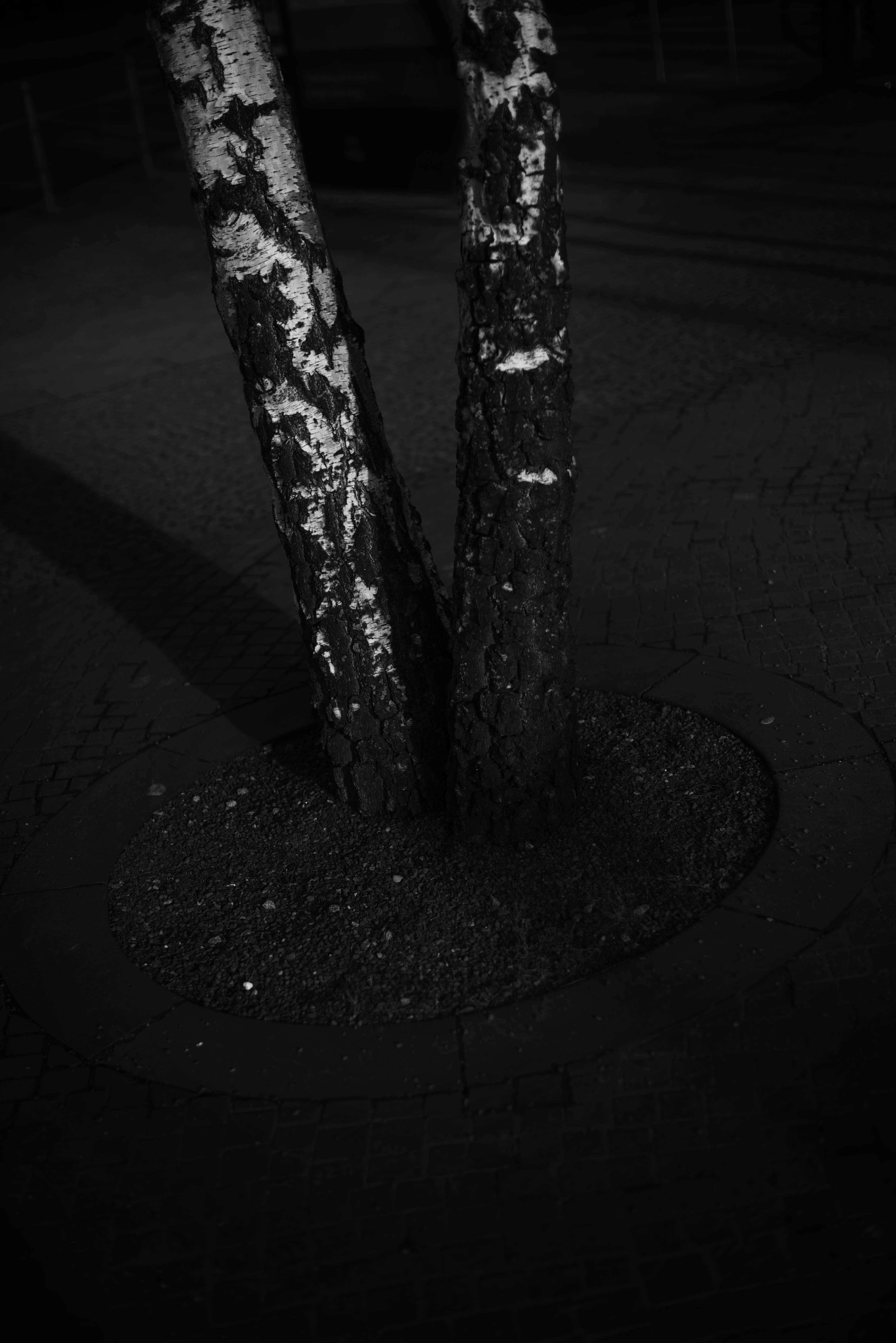 Visual cracks by Matteo Antonio Rapella...