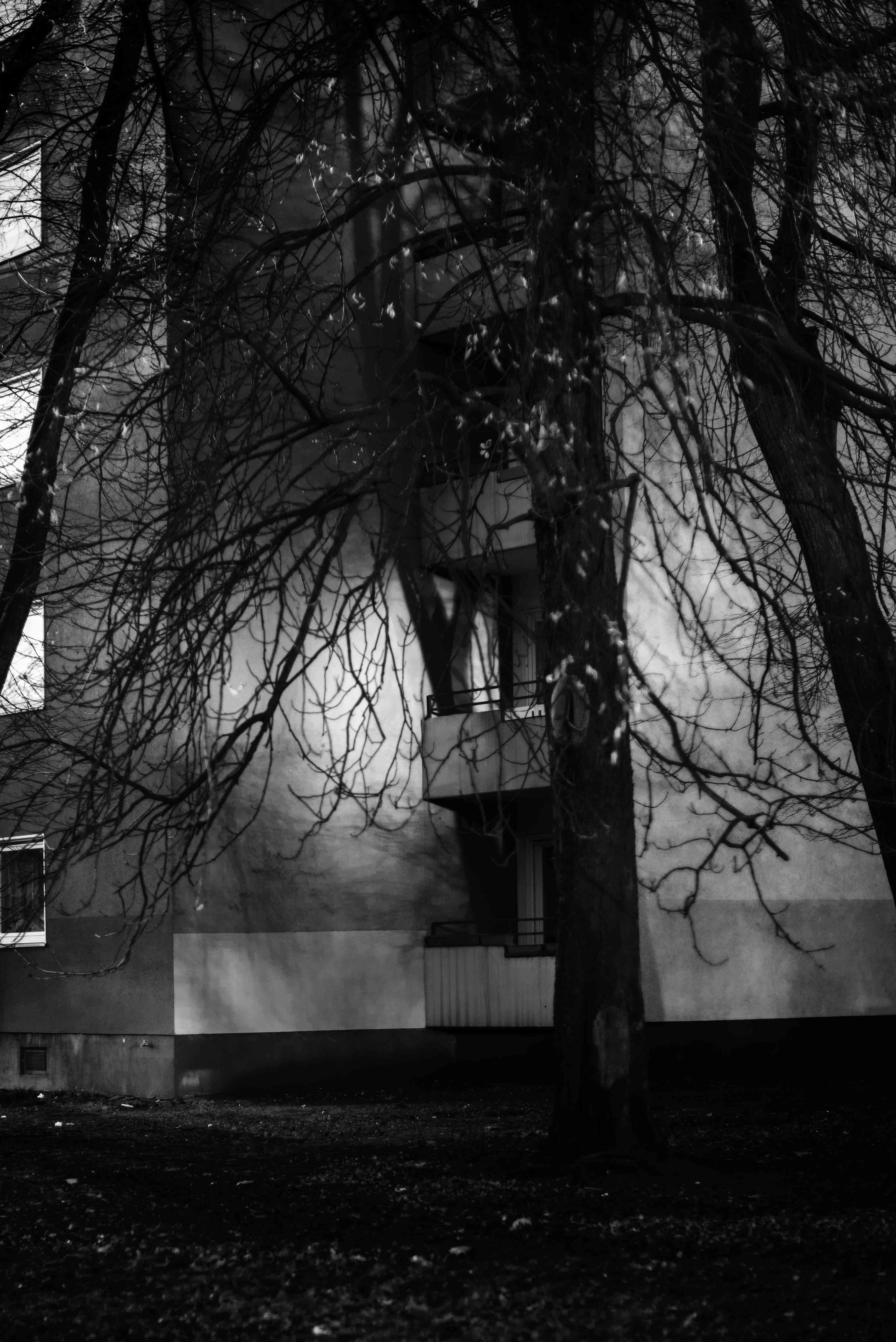 Visual cracks by Matteo Antonio Rapella...