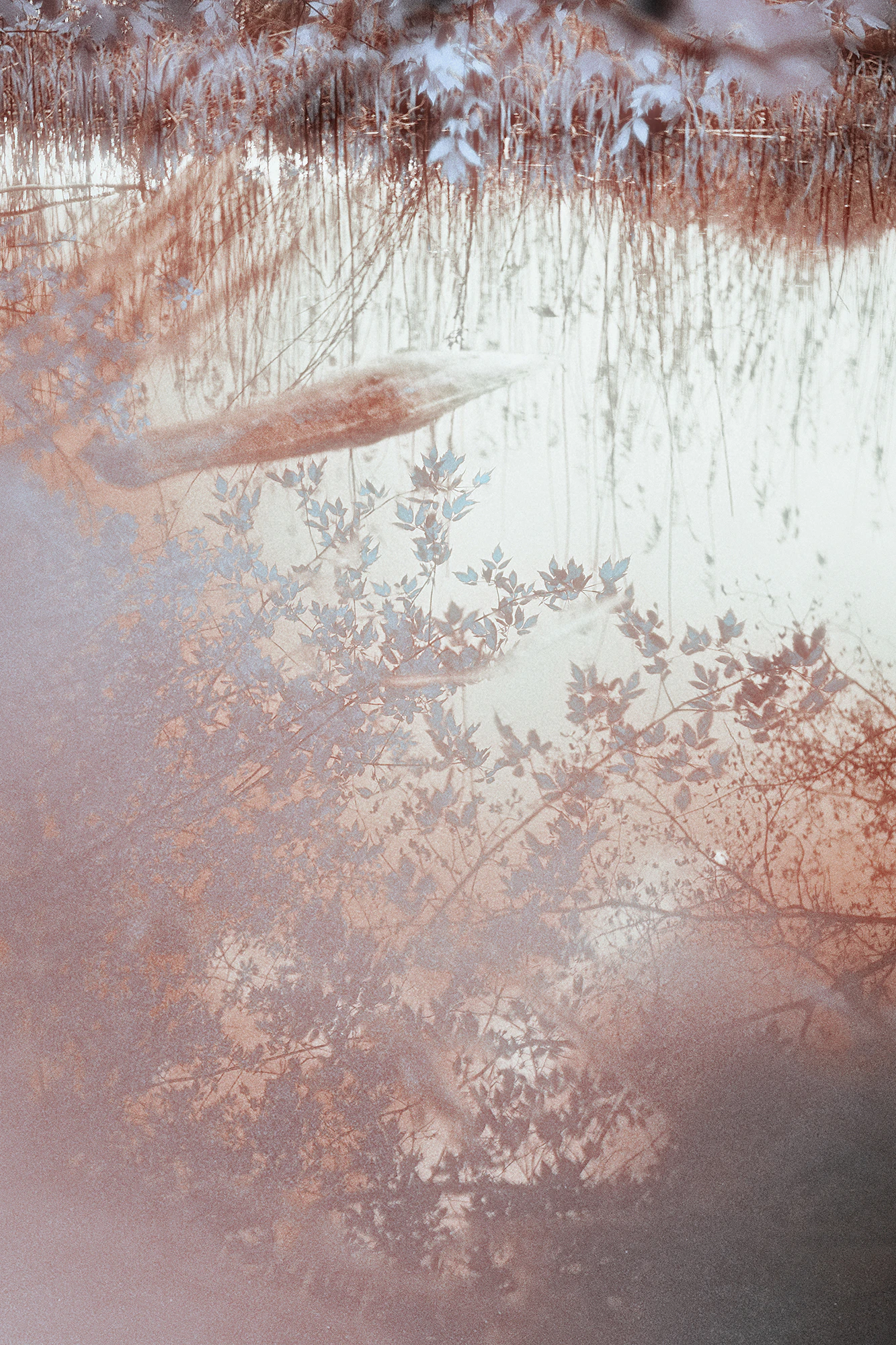 Berlin by Maria Louceiro...