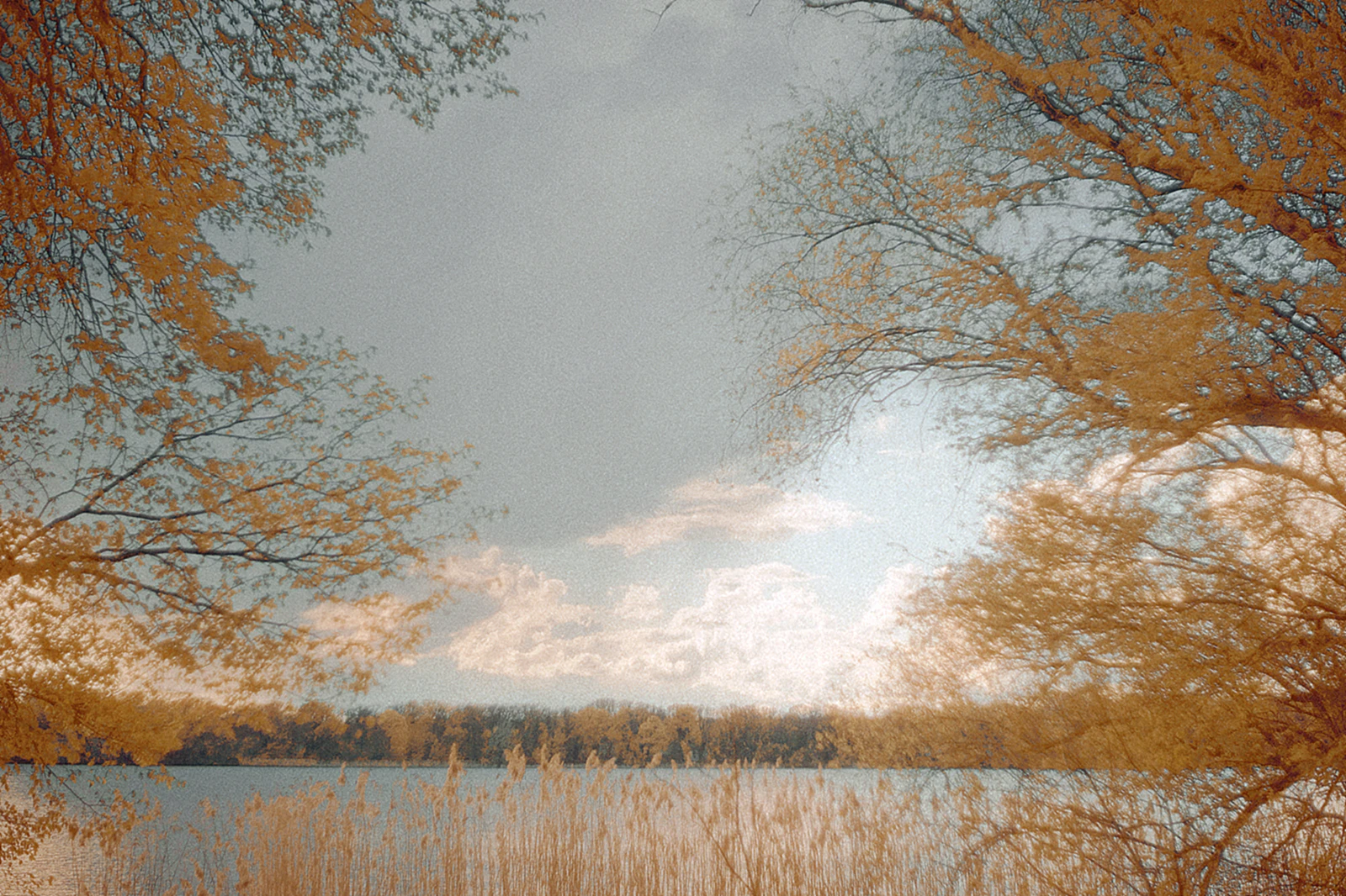 Berlin by Maria Louceiro...