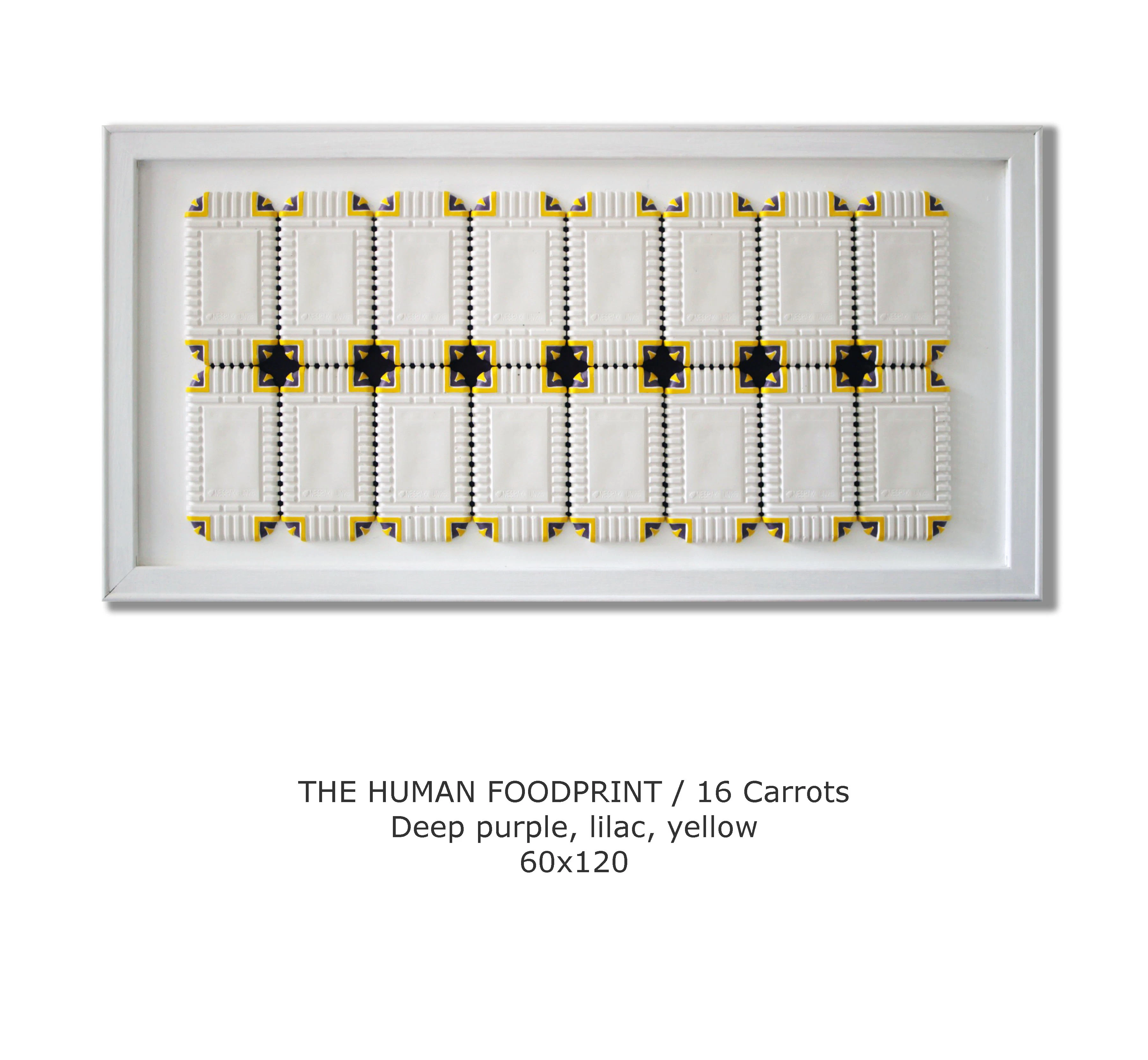 THE HUMAN FOODPRINT by Michele Santomarco...