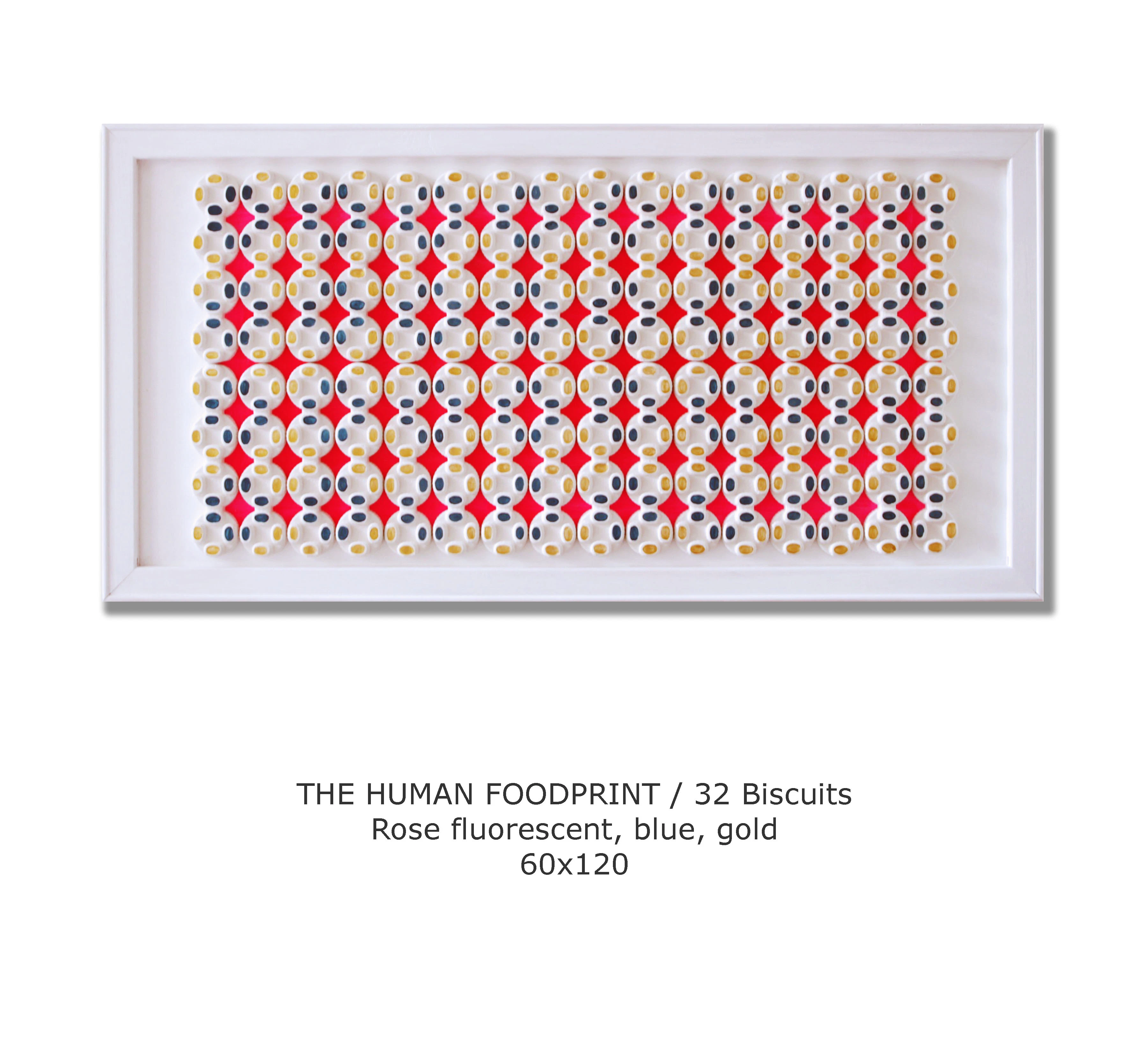 THE HUMAN FOODPRINT by Michele Santomarco...