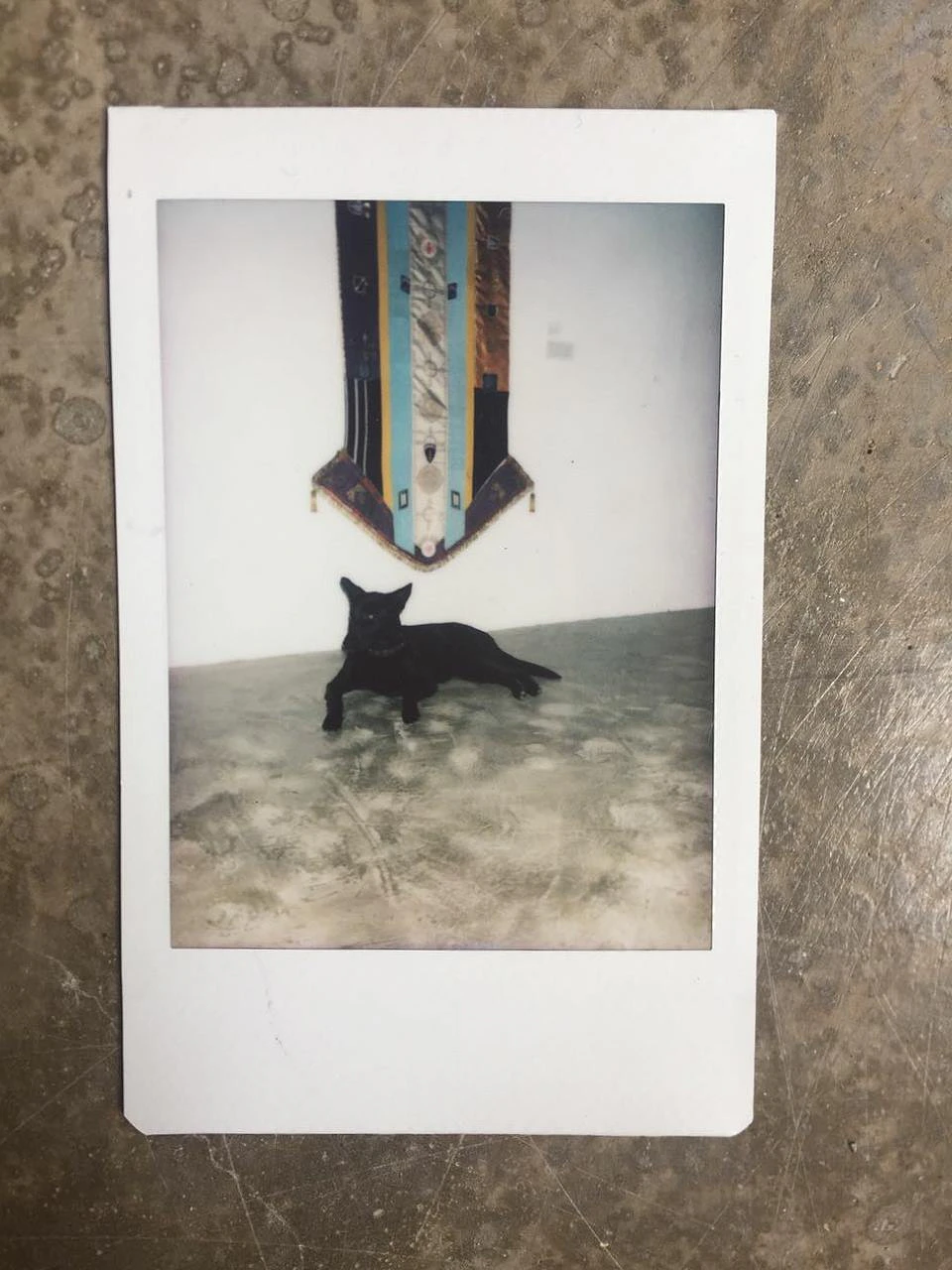 After-Party Polaroids
